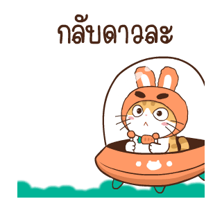 สอยดาว รุ่น 3 (แมวนิยม) รูปที่ 21