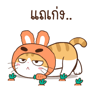 สอยดาว รุ่น 3 (แมวนิยม) รูปที่ 22