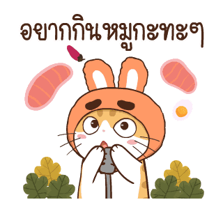 สอยดาว รุ่น 3 (แมวนิยม) รูปที่ 23