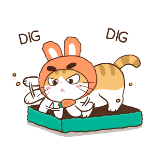สอยดาว รุ่น 3 (แมวนิยม) รูปที่ 24