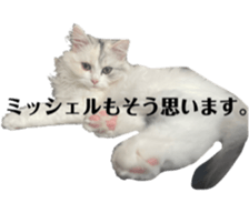 454889842