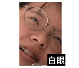 454893666