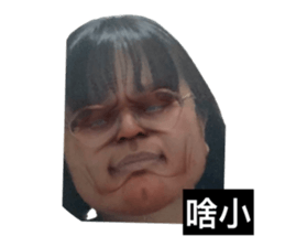 454893667