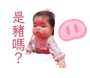 454893717