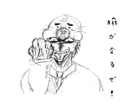454894593