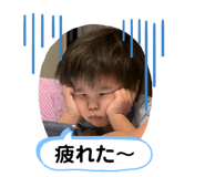 454896521