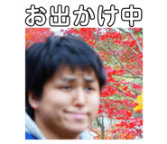 454896524
