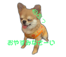 454898066