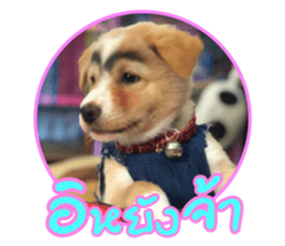 454909461