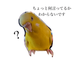 454925694