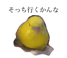 454925695