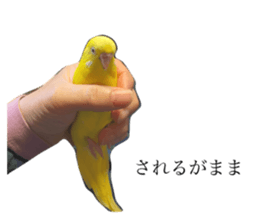 454925705