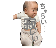 454933304