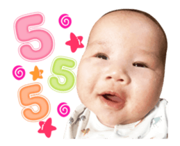 455033555