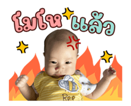 455034503