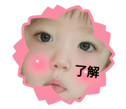 455061348