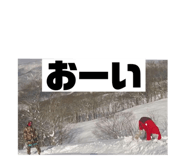 455090507