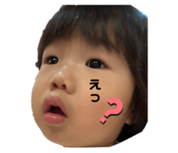 455181021