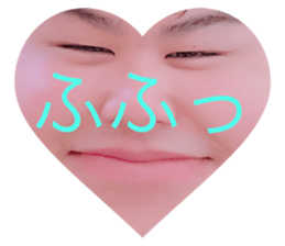 45529445