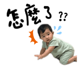 455336277