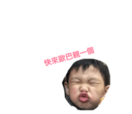 45534719