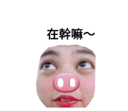 455368130