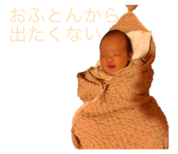 455370746