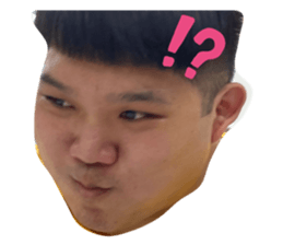 455371394