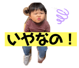 455380244