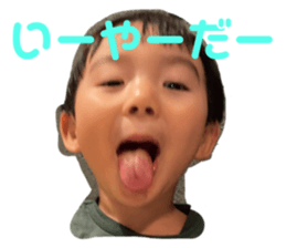 455380246