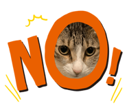 455388391