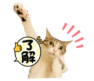 455388399