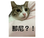 455388412