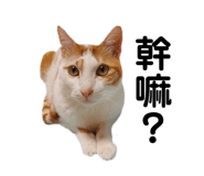 455388416