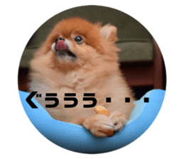 455396865