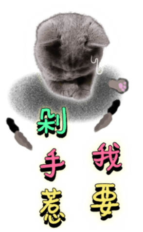 455397633