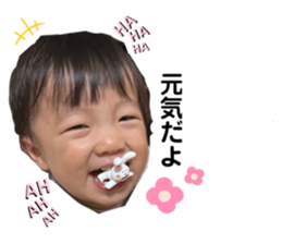 455404266