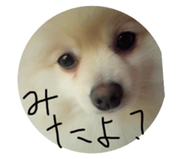 455422244