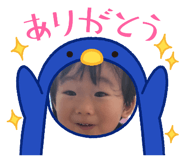 455425578