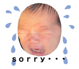 455434440