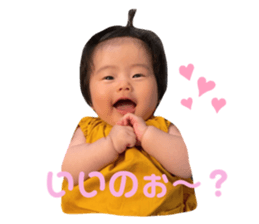 455434684