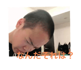 455440271
