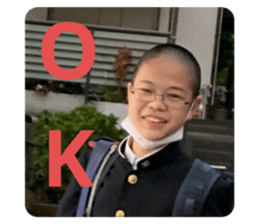 455440273