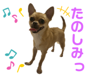 455442018