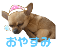 455442020