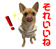 455442022