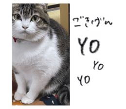 455446487