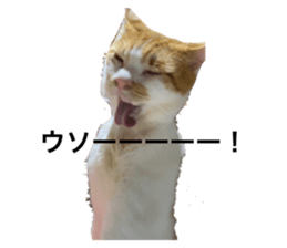 455446971