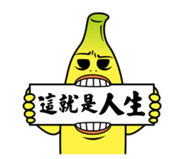 4554880