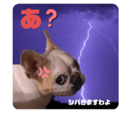 455488351